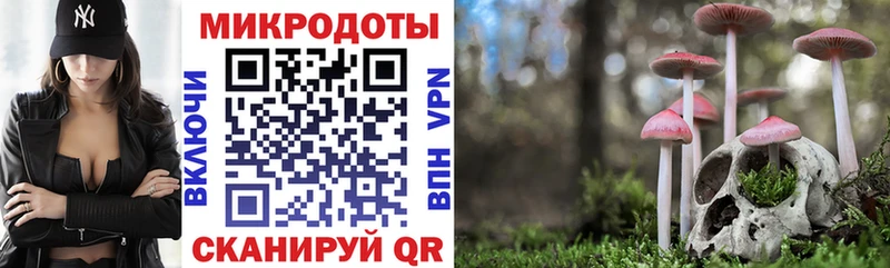мега как зайти закладка Нюрба Псилоцибиновые грибы MAGIC MUSHROOMS